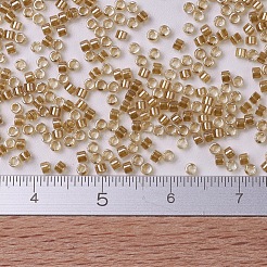 MIYUKI Delica Beads&nbsp;SEED-JP0008-DB0901