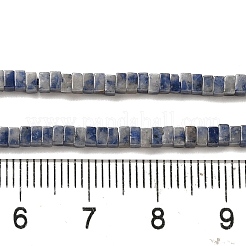 Natural Blue Spot Jasper Beads Strands&nbsp;G-N342-82