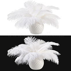 20Pcs 2 Styles Ostrich Feather Costume Accessories&nbsp;FIND-TA0005-96