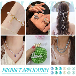 480Pcs 6 Colors Baking Paint Pearlized Glass Pearl Round Beads&nbsp;HY-PH0001-24A