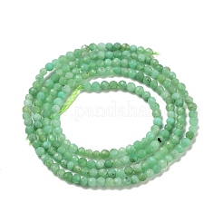 Natural Chrysoprase Beads Strands&nbsp;G-B088-C19-02