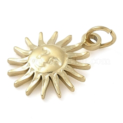 Ion Plating(IP) 304 Stainless Steel Charms&nbsp;STAS-B075-05G