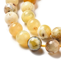 Natural Yellow Opal Beads Strands&nbsp;G-G992-A02-A