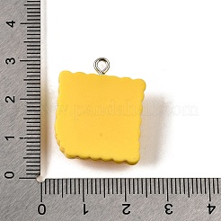 Opaque Resin Pendants&nbsp;CRES-D307-01P