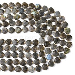 Natural Labradorite Beads Strands&nbsp;G-L654-M03-01