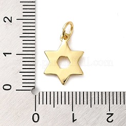 Rack Plating Brass Charms&nbsp;KK-D047-02G