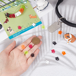 40Pcs 5 Colors Transparent Blank Acrylic Pet Dog ID Tag&nbsp;PALLOY-AB00047