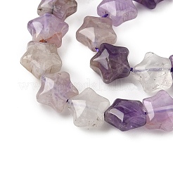 Natural Amethyst Star Beads Strands&nbsp;G-Z080-A04