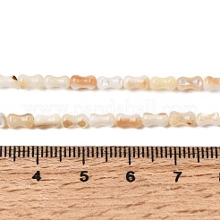 Natural Freshwater Shell Beads Strands&nbsp;SHEL-A006-04B