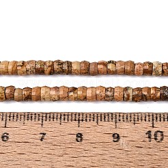 Natural Picture Jasper Beads Strands&nbsp;LS-G-Q606-46A-14