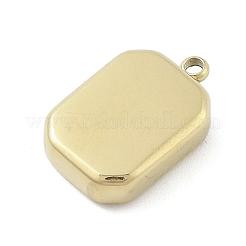 316 Surgical Stainless Steel Pendants&nbsp;STAS-S159-02B-G