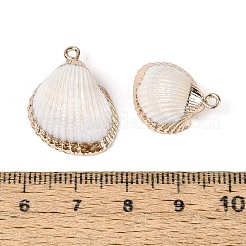 Electroplate Natural Sea Shell Pendants&nbsp;SSHEL-N042-01
