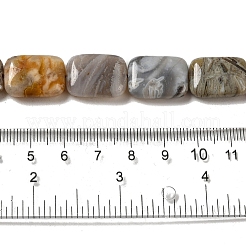 Natural Bamboo Leaf Agate Beads Strands&nbsp;G-NH0014-E01-01