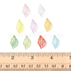 400Pcs Transparent Acrylic Pendants&nbsp;MACR-FS0002-31