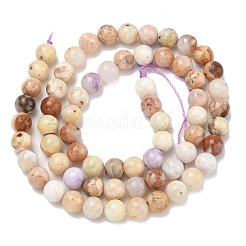 Natural Purple Opal Beads Strands&nbsp;G-L642-B21-6mm