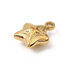 304 Stainless Steel Charms&nbsp;STAS-F327-03C-G