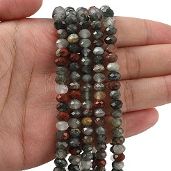 Natural African Bloodstone Beads Strands&nbsp;G-D344-A01