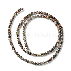 Natural Leopard Skin Jasper Beads Strands&nbsp;G-K365-C01-01