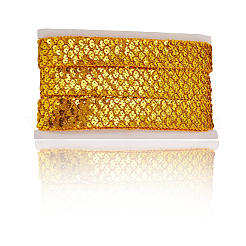 Polyester with PT Paillette Lace Trim Ribbon&nbsp;OCOR-WH20073-01B