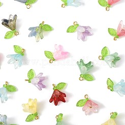 50Pcs Transparent Acrylic Pendants&nbsp;PALLOY-FS00043-02