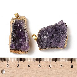 Raw Rough Natural Amethyst Pendants&nbsp;G-H084-10G