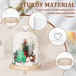 Heart Glass Dome Cover&nbsp;AJEW-WH0505-28B