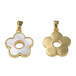 Natural Shell Pendants&nbsp;X-KK-N233-223