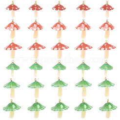 15Pcs 3 Styles Plastic Pendants&nbsp;KY-YW0002-28A
