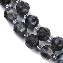 Natural Larvikite Beads Strands&nbsp;G-G182-B38-03