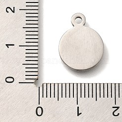 304 Stainless Steel Pendants&nbsp;STAS-S148-13P