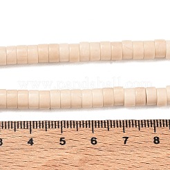 Natural Fossil Beads Strands&nbsp;G-Z006-C16