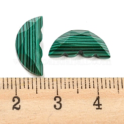 Natural Malachite Butterfly Wing Cabochons&nbsp;G-D078-02B