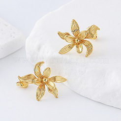 304 Stainless Steel Stud Earrings for Women&nbsp;DB8476
