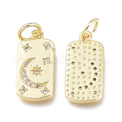 Brass Micro Pave Clear Cubic Zirconia Charms&nbsp;X-ZIRC-L076-054G