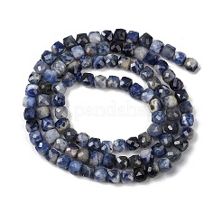 Natural Sodalite Beads Strands&nbsp;G-RM2025-D48-4x4mm