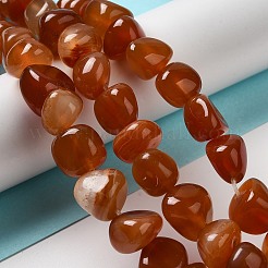 Natural Agate Beads Strands&nbsp;G-H295-B01