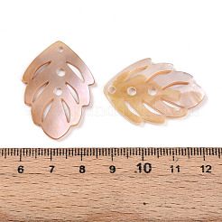 Natural Freshwater Shell Carved Pendants&nbsp;SHEL-N036-17