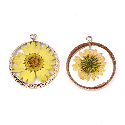Transparent Clear Epoxy Resin & Dried Flower Pendants&nbsp;RESI-S383-076A-A02