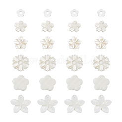 Natural Freshwater Shell Pendants&nbsp;SSHEL-KS0001-01