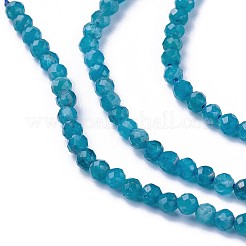 Natural Apatite Beads Strands&nbsp;G-F619-13B-2mm