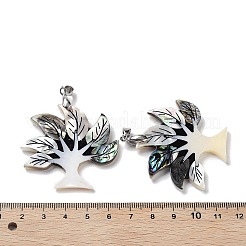 Natural Paua Shell & Black Lip Shell & White Shell Pendants&nbsp;FIND-A041-02D-P