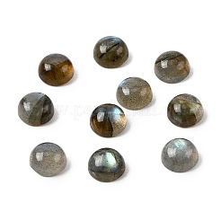 Natural Labradorite Cabochons&nbsp;G-D804-02