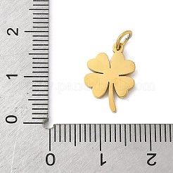 304 Stainless Steel Charms&nbsp;STAS-M120-07C-G
