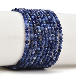 Natural Sodalite Beads Strands&nbsp;G-B175-D09-2mm