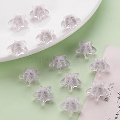 Transparent Acrylic Beads&nbsp;TACR-S152-11A-06