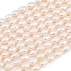 Natural Cultured Freshwater Pearl Beads Strands&nbsp;PEAR-F020-21