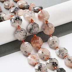 Natural Sunstone Beads Strands&nbsp;G-NH0004-021