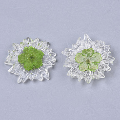 Transparent Clear Epoxy Resin Cabochons&nbsp;CRES-N025-02C