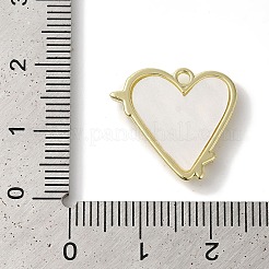Rack Plating Alloy Pendants&nbsp;FIND-I039-021G-02