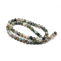 Natural Tree Agate Round Gemstone Beads Strands&nbsp;G-R255-6mm
